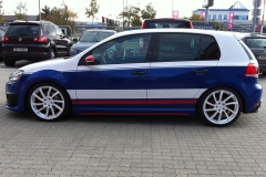 fenes_1