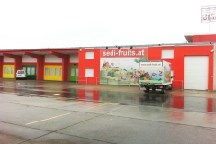 sedi_3