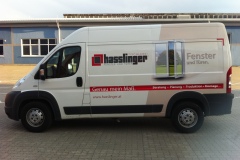 hasslinger_1