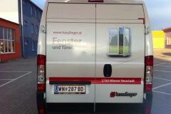 hasslinger_2