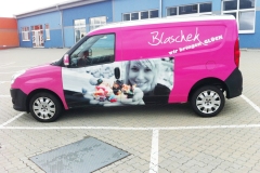 blaschek_1
