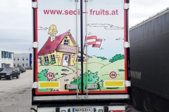 sedi_6