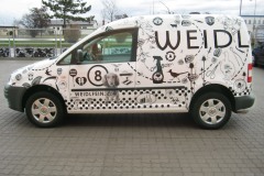 wedl_2